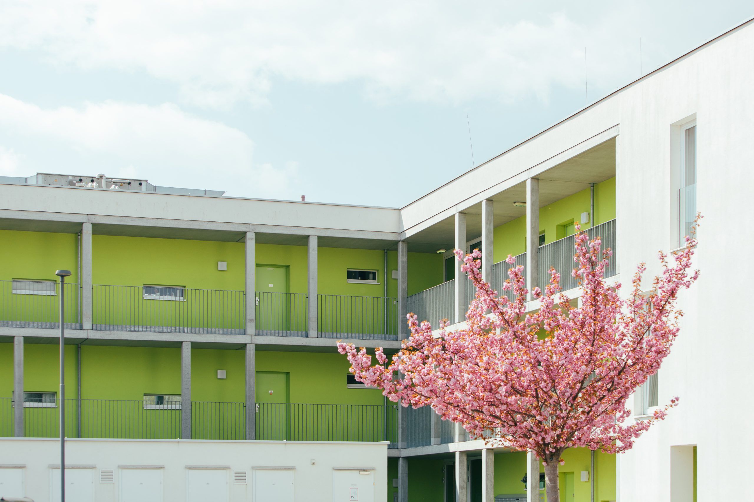 Kremserberg 2026 6 scaled 5f533979